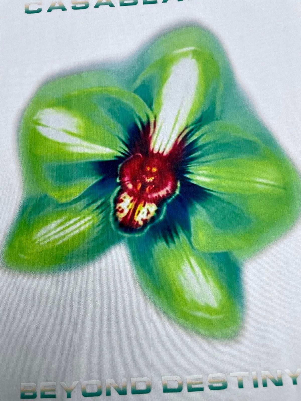 Casa Cotton Tee